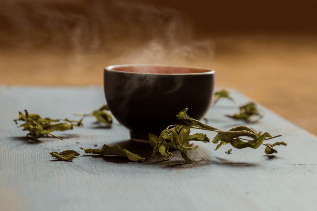 infusion et tisane