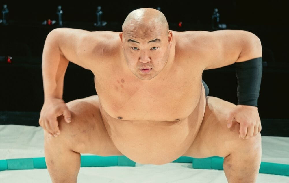 les lutteurs de sumo sont-ils en bonne santé