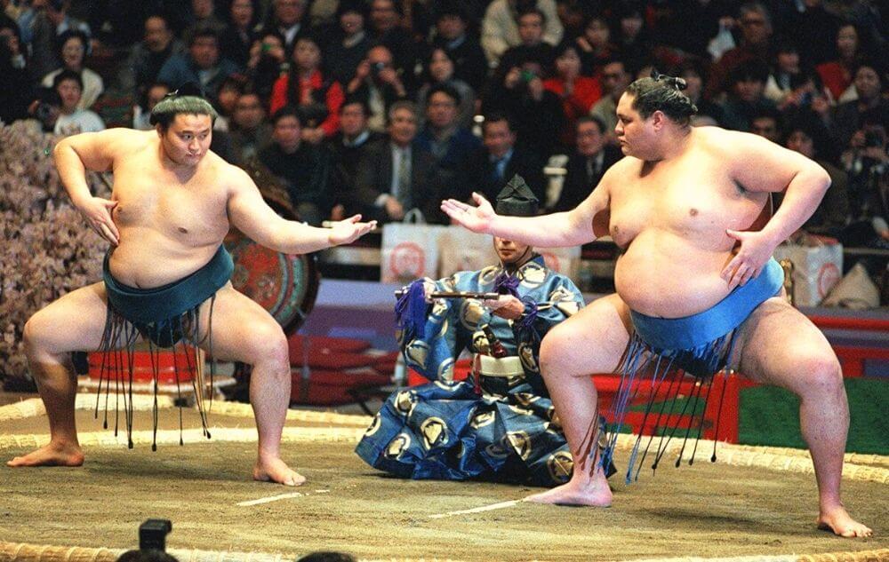Régime et mode de vie sumo