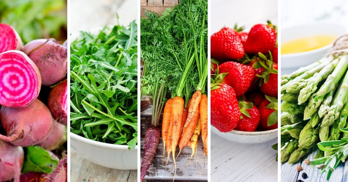 10 meilleurs aliments de printemps et comment les utiliser |  Elisabeth Rider