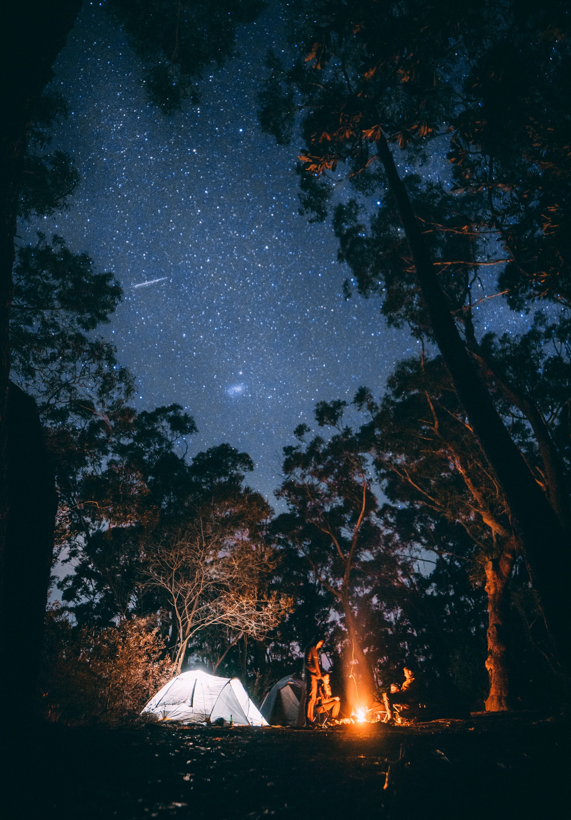 Conseils camping en Nouvelle-Zélande