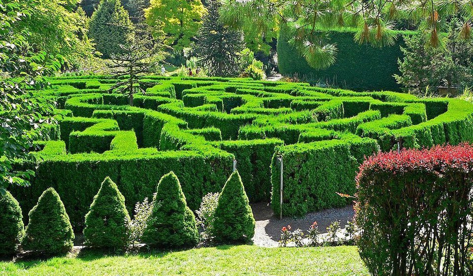 Labyrinthe du jardin botanique VanDusen à Vancouver