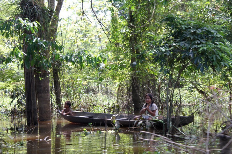 Amazon Jungle Tour au Brésil