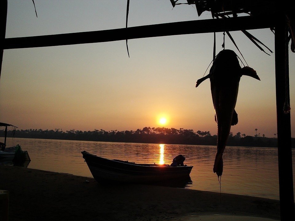 Excursion en bateau sur le fleuve Amazone