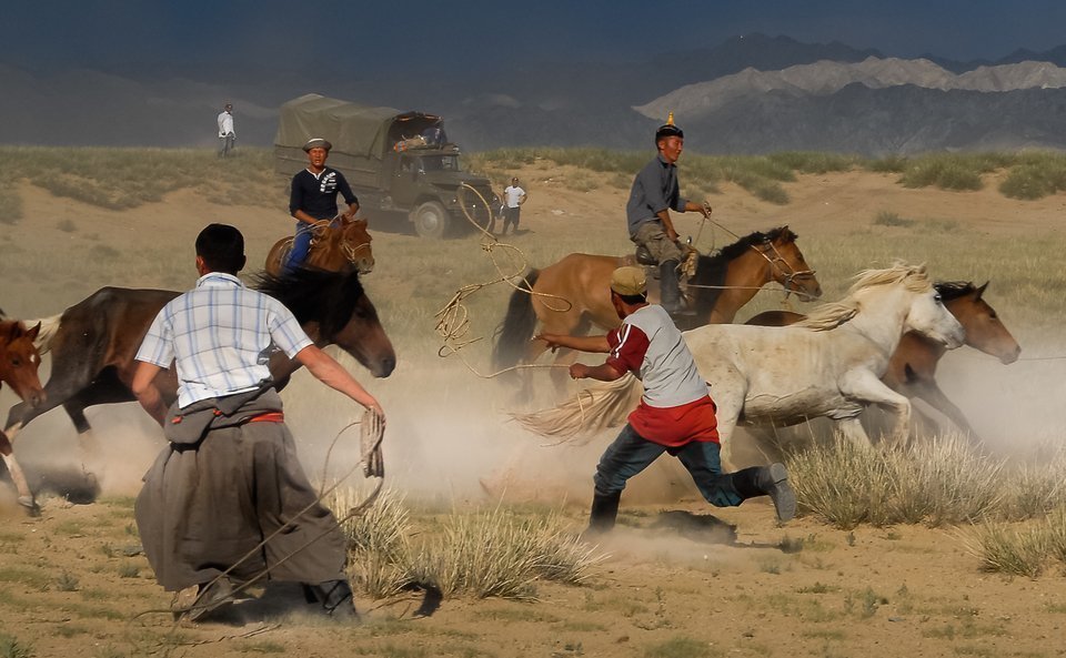 Équitation Nadaam en Mongolie